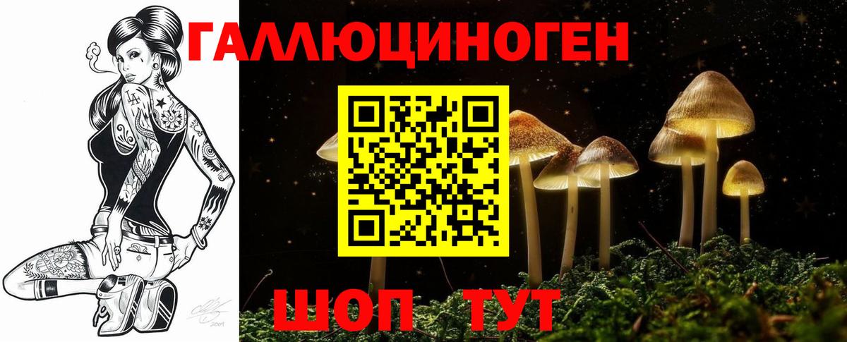 Псилоцибиновые грибы Cubensis  Вход с VPN  Зеленодольск  Галлюциногенные грибы MAGIC MUSHROOMS 